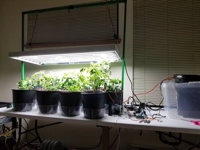 Arduino Indoor Garten